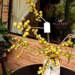 Cành trái hồng mini