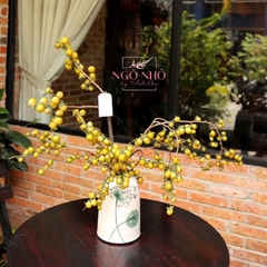 Cành trái hồng mini