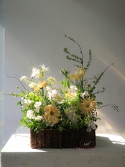 Hộp Gỗ Hoa - Tone Xanh Lá 025