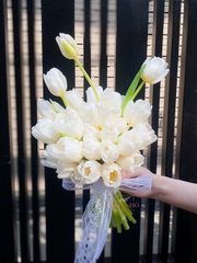 Hoa Cưới Tulip Hà Lan | Kèm Hoa Cài Áo Chú Rể 268