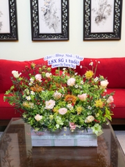 Hộp Gô Hoa Đồng Nội 6in1 | 6 Hộp Hoa Nhỏ