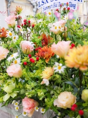 Hộp Gô Hoa Đồng Nội 6in1 | 6 Hộp Hoa Nhỏ