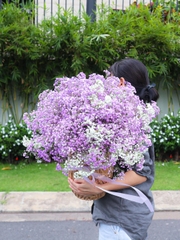 Giỏ Mây Babi Mix Mộng Mơ Nhập Khẩu 066