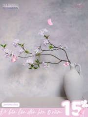 Cành Hoa Đào Sakura Hồng Nhạt | Ưu Đãi Khi Mua Kèm Bình