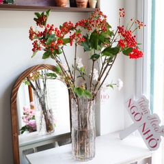 (Hoa Lẻ) Cành Viburnum Opulus Thả Bình