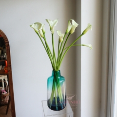 (Hoa Lẻ) Hoa Rum/ Calla Lily Giống Hà Lan Đủ Màu