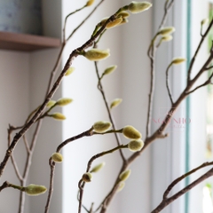 (Hoa Lẻ) Cành Mộc Lan Nhập Khẩu