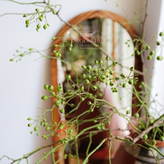 (Hoa Lẻ) Cành Trái Hoa Hồng Dài Xanh Lá