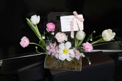 Giỏ mica mao lương hồng mix tulip trắng