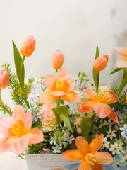 Giỏ Mica Tone Cam | Hoa Tulip Cá Hồi Phối Hoa Nhập Khẩu