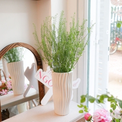 (Hoa Lẻ) Cỏ Đồng Tiền/ Ringbell Đà Lạt