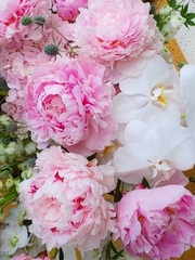 Bình Hoa Mẫu Đơn - Peony/ Peonies 266