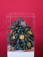 Hộp Thông Nhập Khẩu - Xmas Mica