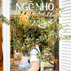 (Hoa Lẻ) Cành Lê Nhập Khẩu Thả Bình