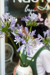 (Hoa Lẻ) Hoa Thanh Anh - Agapanthus