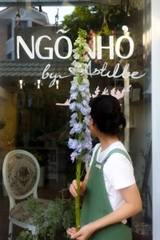 (Hoa Lẻ) Delphinium Nhập Khẩu Xanh Blue