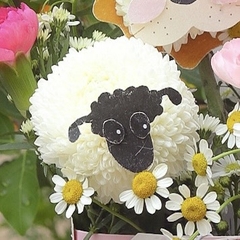 Bó hoa Animals "Bé Cưng" - Nhiều mẫu thú