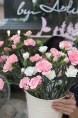 (Hoa Lẻ) Hoa Cẩm Chướng Chùm Đà Lạt