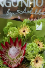 Bó Hoa Thảo Đường Hoàng Đế & Cầu Xuân từ Hà Lan 2830