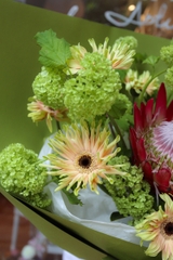 Bó Hoa Thảo Đường Hoàng Đế & Cầu Xuân từ Hà Lan 2830