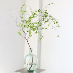 Cành Thạch Nam Nhật Bản