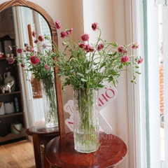 (Hoa Lẻ) Hoa Scabiosa Hồng Đậm Nhập Khẩu