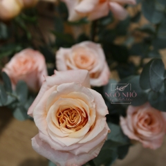 (Hoa Lẻ) Hoa Hồng Ecuador Màu Shimmer