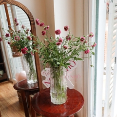 (Hoa Lẻ) Hoa Scabiosa Hồng Đậm Nhập Khẩu