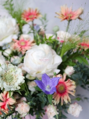 Hộp Hoa Peony | Mẫu Đơn "Tako No Yoosoi" Nhật Bản VIP