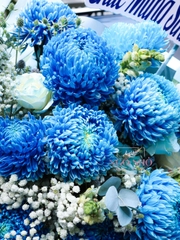 Bó Hoa Cúc Mẫu Đơn Xanh Dương Nhập Khẩu Malaysia