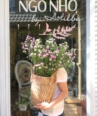 (Hoa Lẻ) Hoa Thạch Thảo