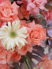 Kệ Hoa Chúc Mừng 569