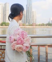 (Hoa Lẻ) Hoa Mẫu Đơn Nhập Khẩu