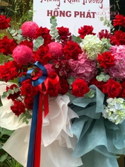 Kệ Hoa Chúc Mừng 238 | Hoa Nhập Khẩu