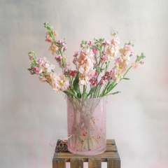 SET hoa thả bình 002 - Bình Sakura