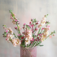 SET hoa thả bình 002 - Bình Sakura