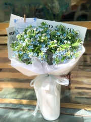 Bó Hoa Lam Tinh/ Sao Xanh Nhập Khẩu 190