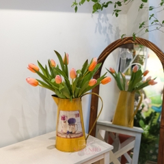 (Hoa Lẻ) Hoa Tulip Hà Lan | Đủ Màu