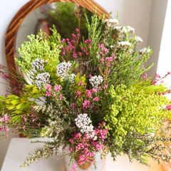 (Hoa Lẻ) Hoa Nam Phi Cape Mix | 1 Bó Mix Đủ Loại Siêu Bền