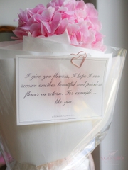 Bó Hoa Cẩm Tú Cầu Hồng Hà Lan 388