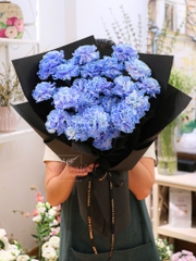 Bó Hoa Cẩm Chướng Xanh Blue Nhập Khẩu