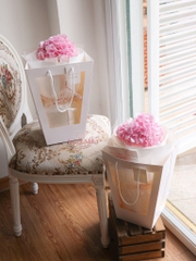 Bó Hoa Cẩm Tú Cầu Hồng Hà Lan 388