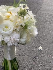 Hoa Cưới Dáng Tròn Tulip, Dạ Lan Hương & Thủy Tiên