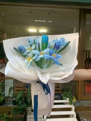 Bó tulip xanh
