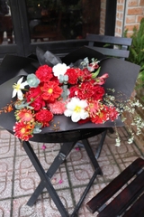 Bó thược dược đỏ mix tulip trắng