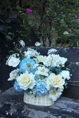 Giỏ hoa trắng vs xanh dương