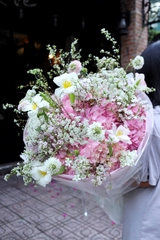 Bó hoa tú cầu hồng nhập khẩu mix tulip