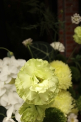 Bình hoa tông xanh lá vs trắng