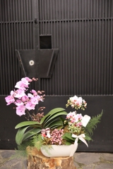 Chậu lan hồ điệp mix tiểu cảnh, decor couple in love