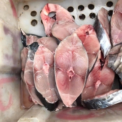 Cá cắt khúc